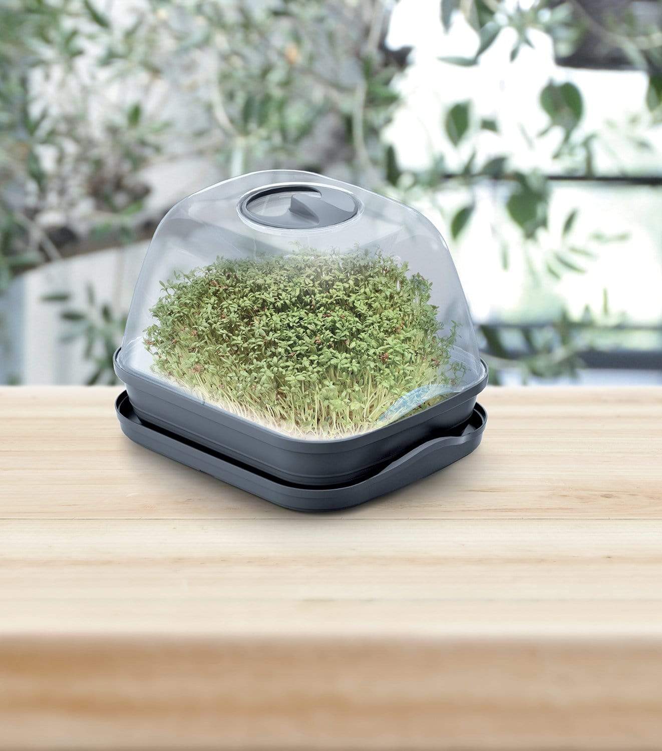 Gardino Növénytartók Respana Asztali Palántázó Üvegház