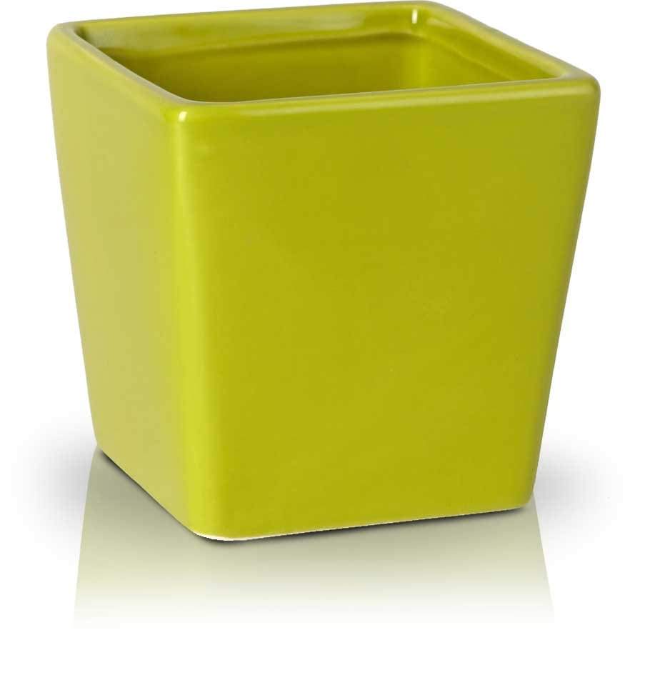 Gardino Növénytartók zöld / 9 cm Jácint Kaspó