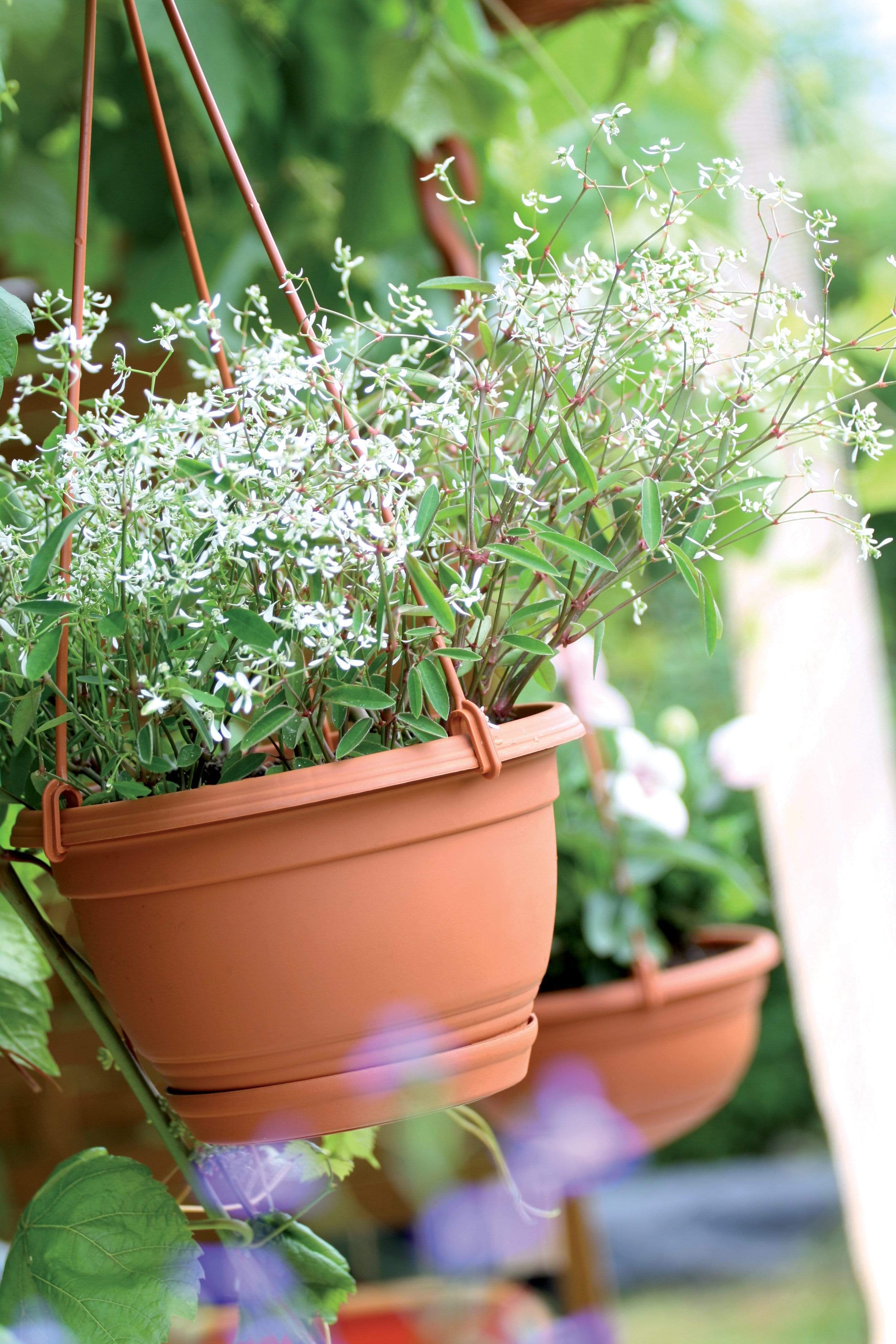 Gardinohu Növénytartók Függőcserép Agro