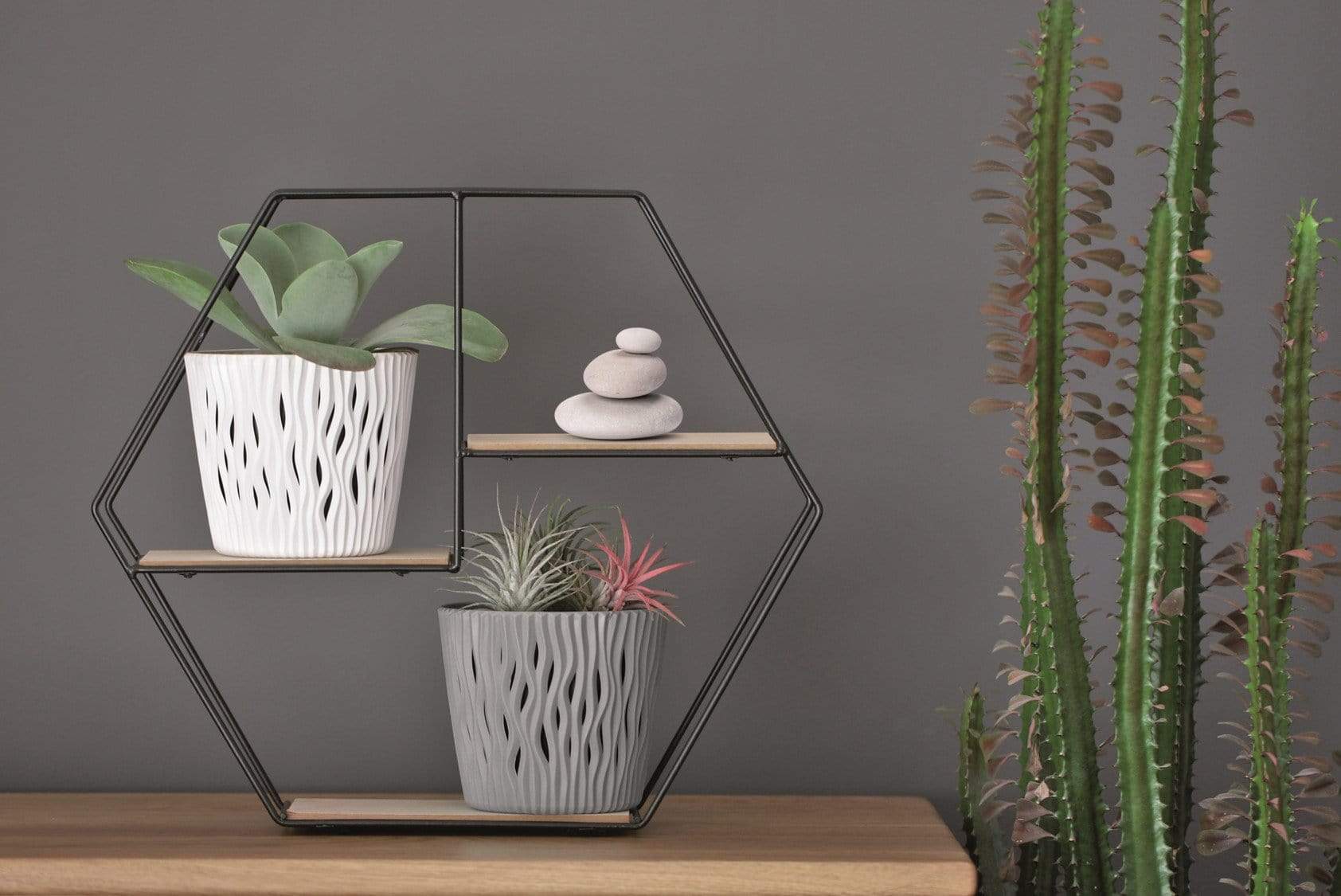 Gardinohu Növénytartók Kaspó Sandy Betéttel