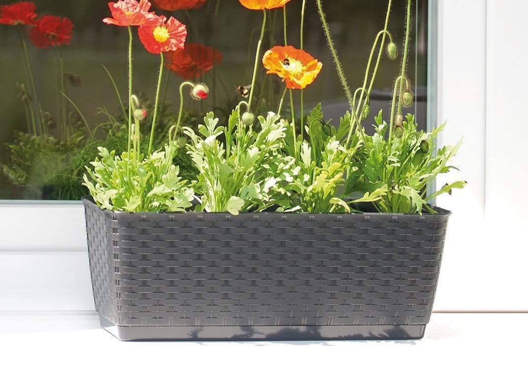 Gardinohu Növénytartók Rattan Teraszláda "Ratolla"