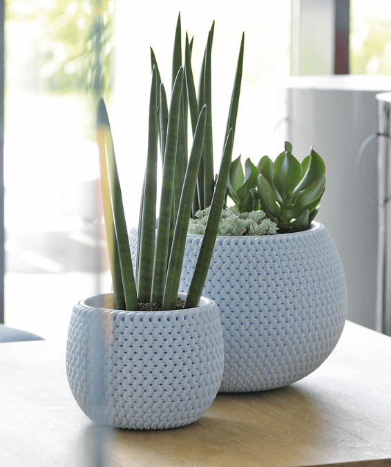 Gardinohu Növénytartók Splofy Kaspó Kerek Betéttel