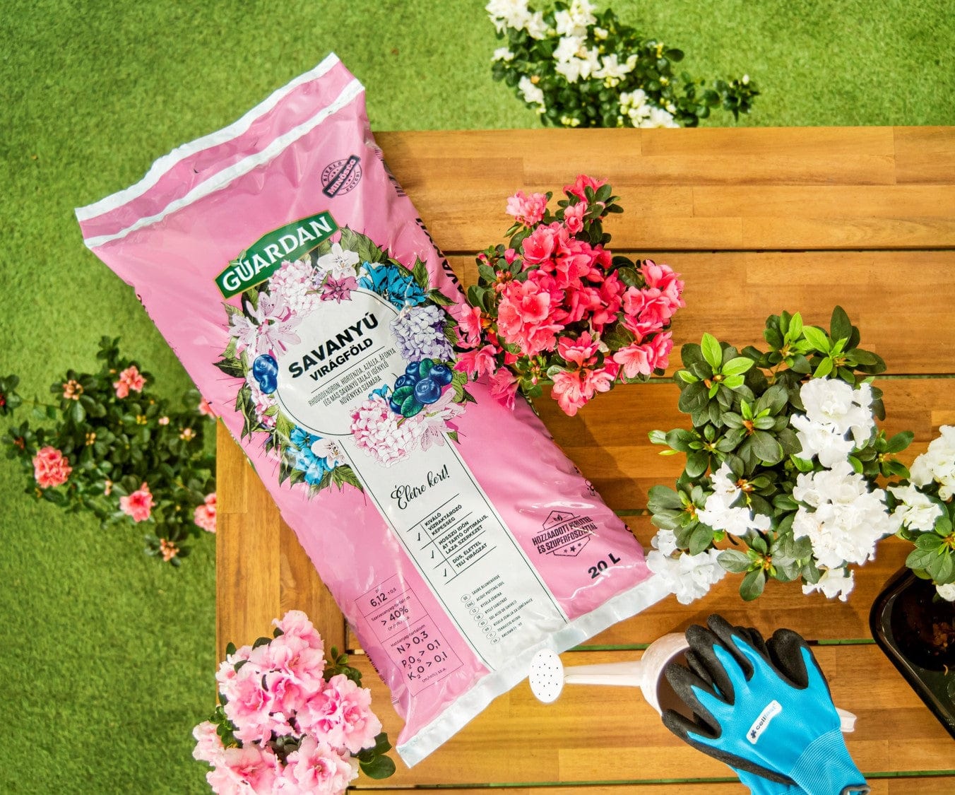 Guardan Ápolás_és_gondozás Guardan Savanyú virágföld