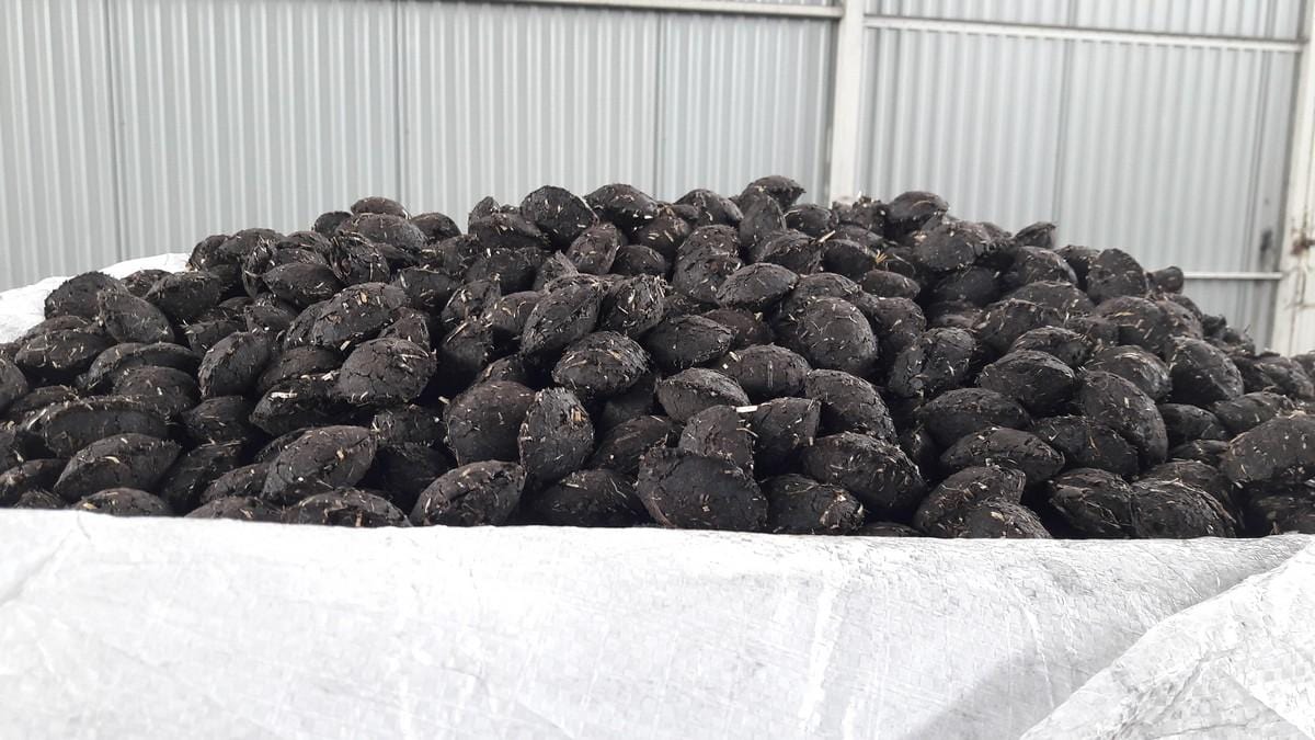 Mátra brikett Téli_termékek 36x23kg Lignit(tojás) brikett 36x23kg Raklapos