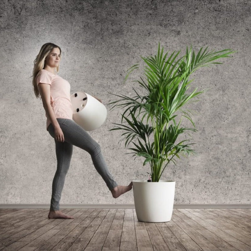 Plastkon Növénytartók Ella Ella Twist'n'Roll Kaspó