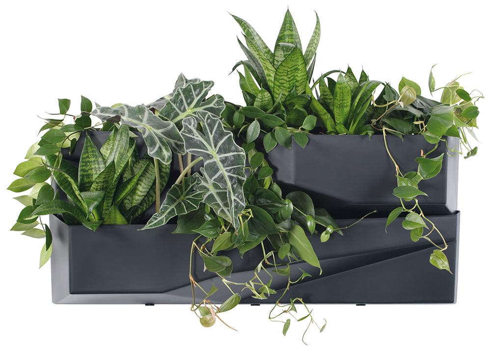 Prosperplast Növénytartók antracit Cascade Garden Wall fali kaspók