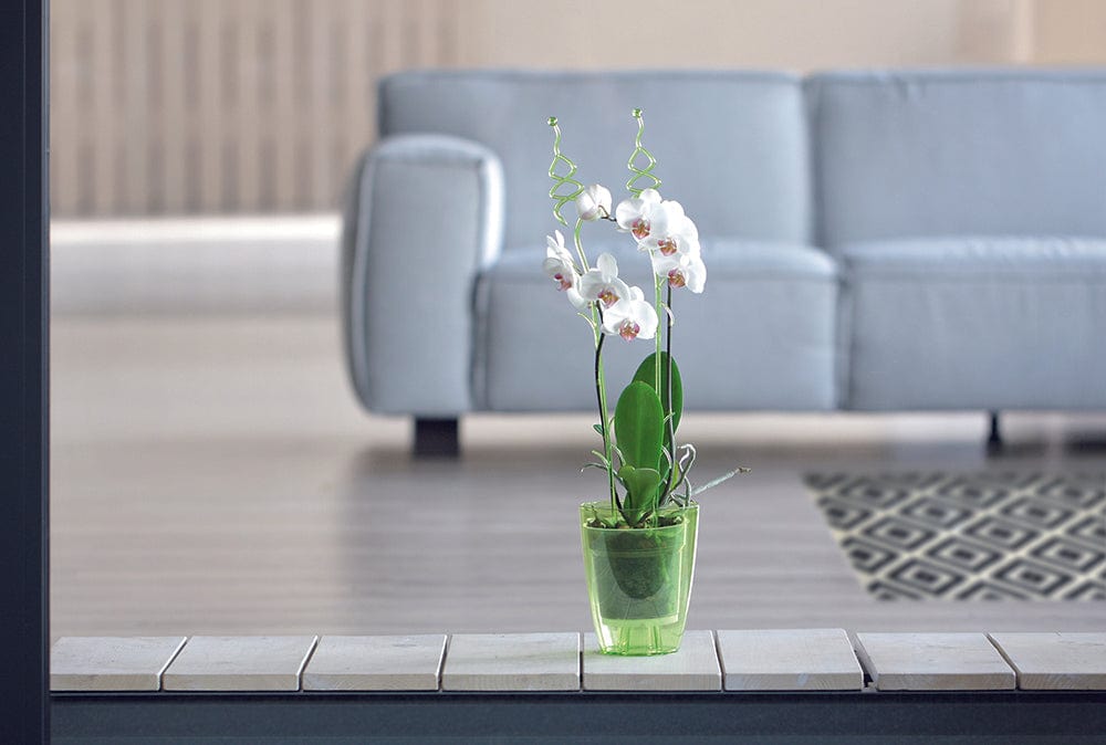 Prosperplast Növénytartók Coubi Orchidea Kaspó