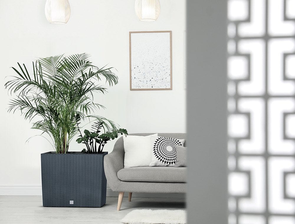 Prosperplast Növénytartók Kaspó Rato Low Rattan Betéttel