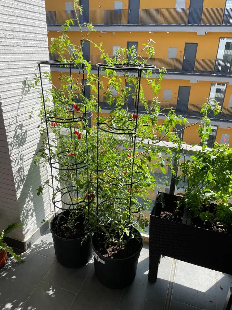 Prosperplast Növénytartók Paradicsomültető Cserép