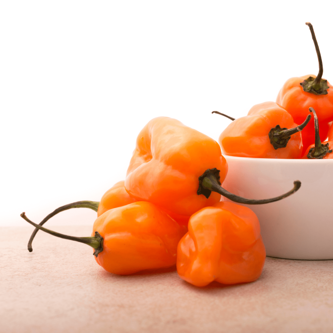 Réde Ápolás_és_gondozás 20 szem Habanero Chili Narancssárga vetőmag