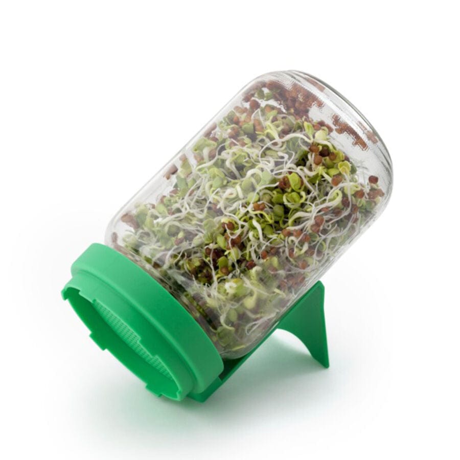 Réde Ápolás_és_gondozás Salátaborsó Csíráztató Üvegedény