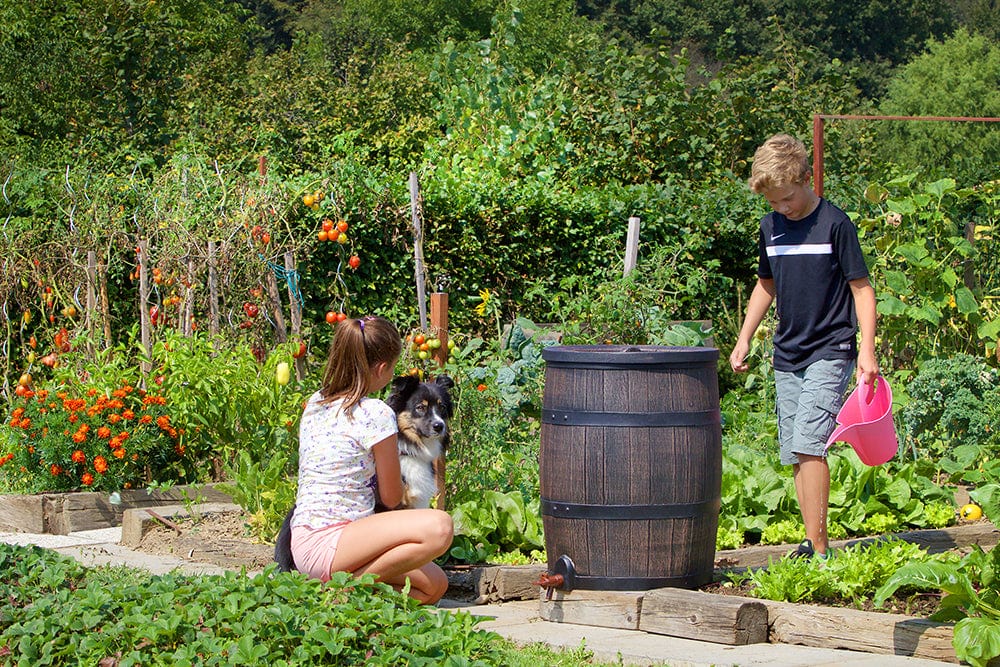 Roto Kerti kiegészítők 350 / barna Hordó Esővízgyűjtő 350L