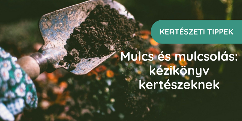 Mulcs és mulcsolás: kézikönyv kertészeknek