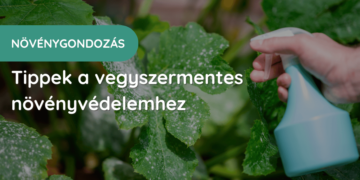 Természetes növényvédelem
