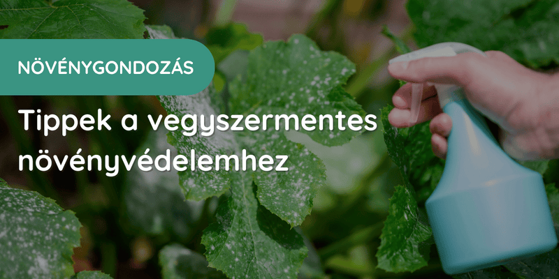 Természetes növényvédelem