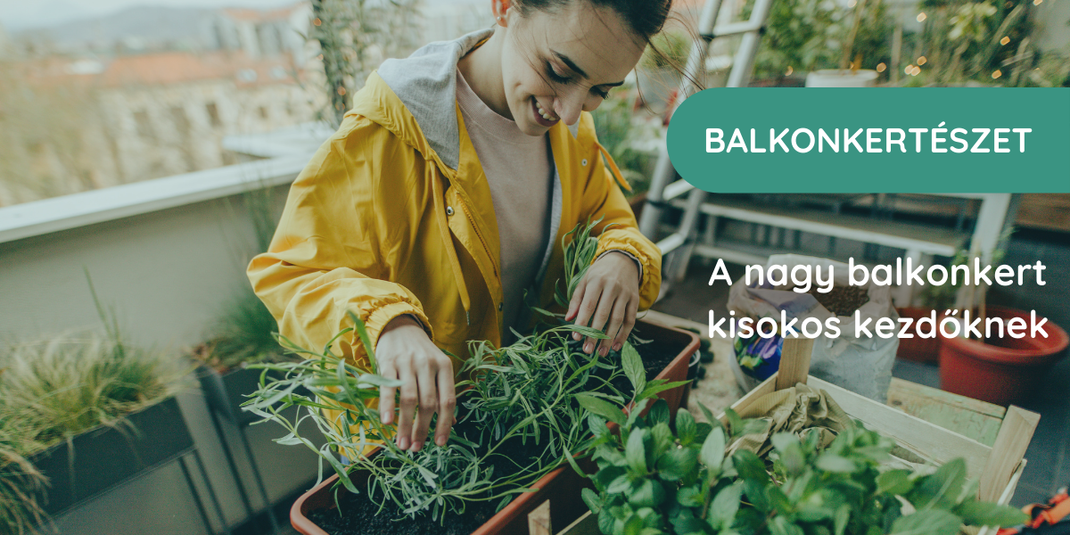 Balkonkertészet kisokos