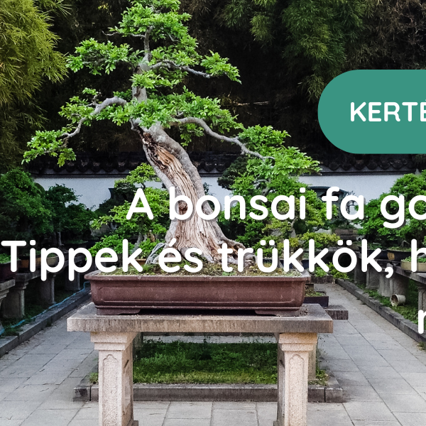künstlicher bonsai ahorn Künstlicher Ahornbaum, rosa, 56 cm