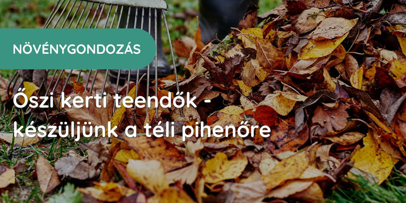 Őszi kerti teendők