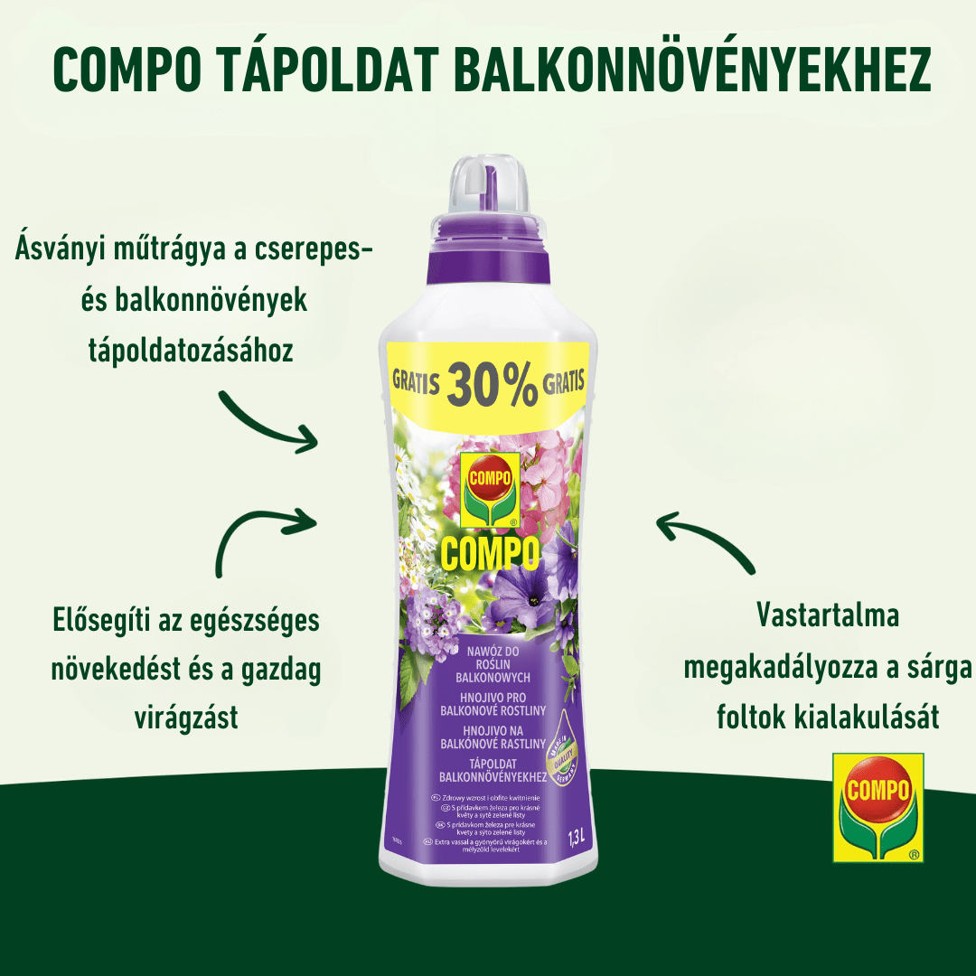 Compo Ápolás_és_gondozás Compo Tápoldat Balkonnövény 1,3L/2,5L