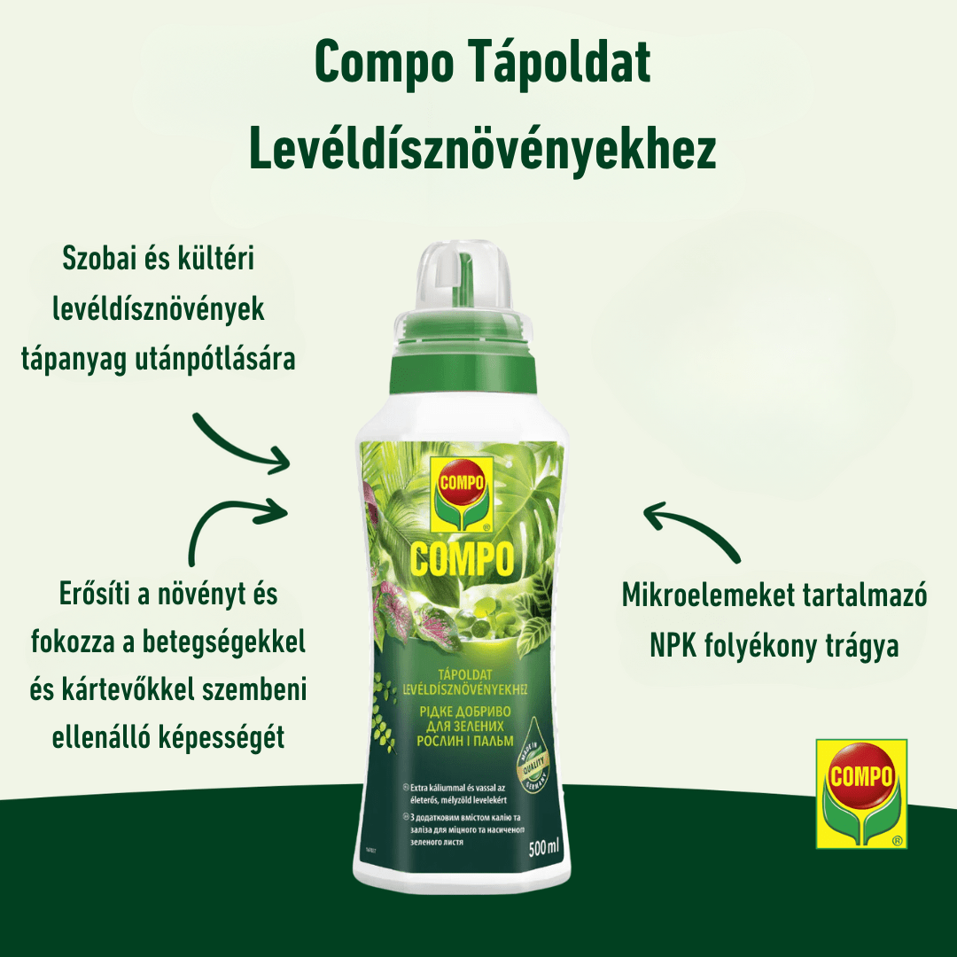 Compo Ápolás_és_gondozás Compo Tápoldat Zöldnövény 0,5L/1L