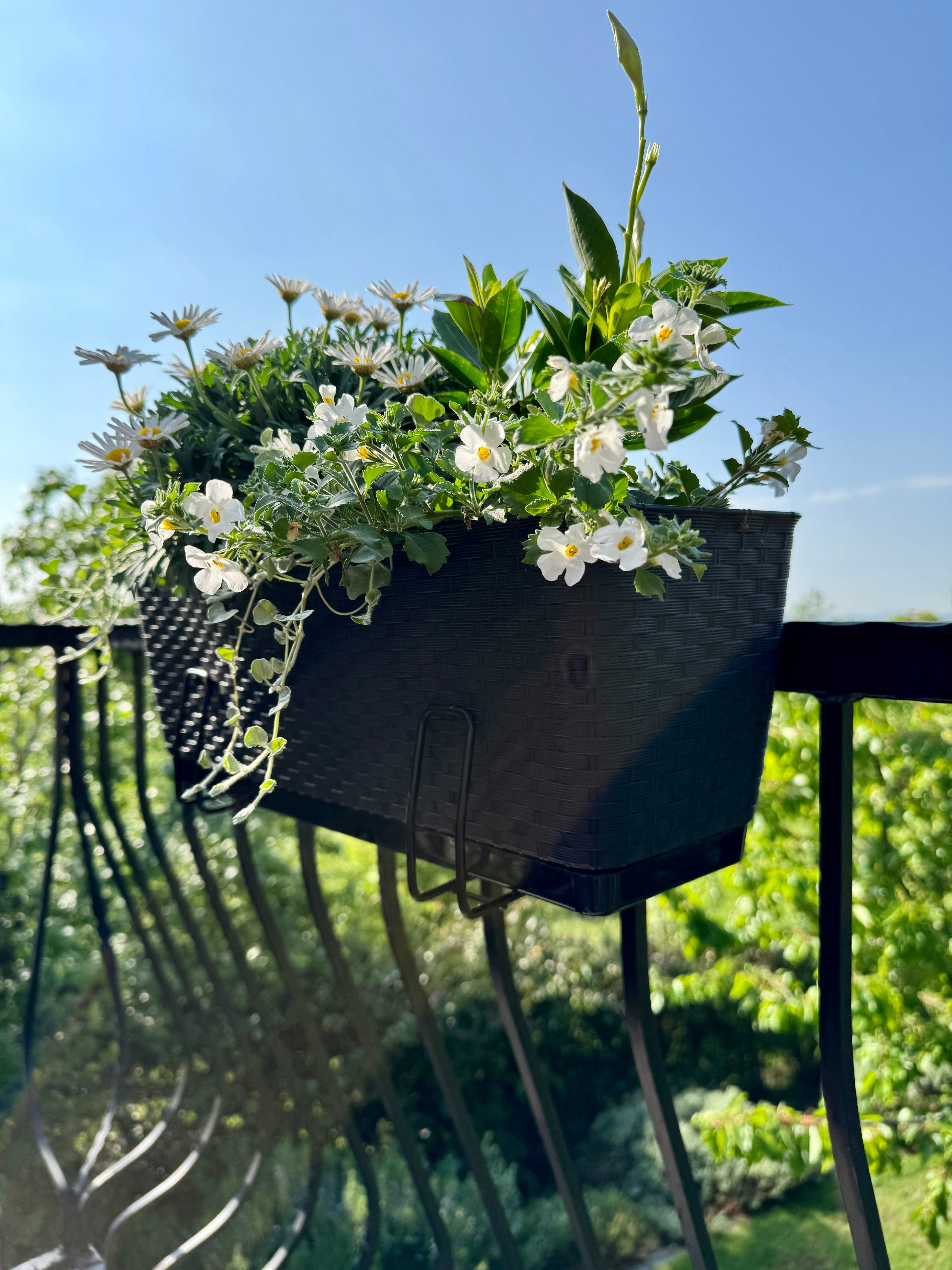 Prosperplast Növénytartók Rattan Teraszláda "Ratolla"