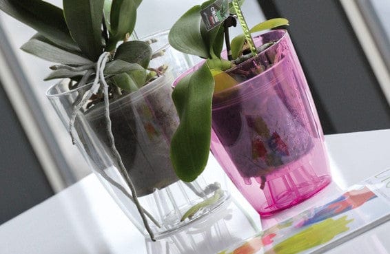 Prosperplast Növénytartók Coubi Orchidea Kaspó